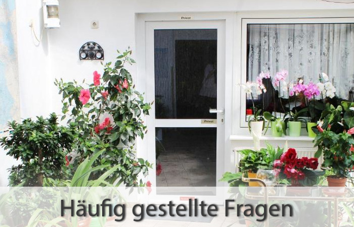 Fragen